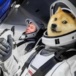 Dogecoin vs Bitcoin. Czy mem-coin ma szansę konkurować?