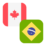 Logo CAD/BRL
