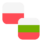 Logo PLN/BGN