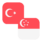 Logo TRY/SGD
