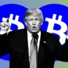 Trumpowie są zakochani w krypto. I dobrze na tym zarobili!
