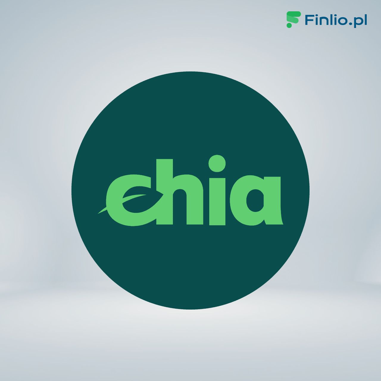 Kurs Chia (XCH) ▶️ Notowania + Jak i gdzie kupić Chia » Finlio.pl