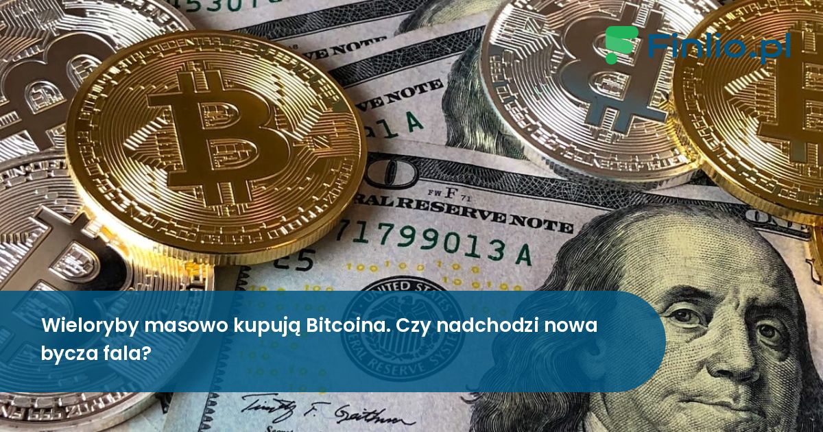 Wieloryby masowo kupują Bitcoina. Czy nadchodzi nowa bycza fala?