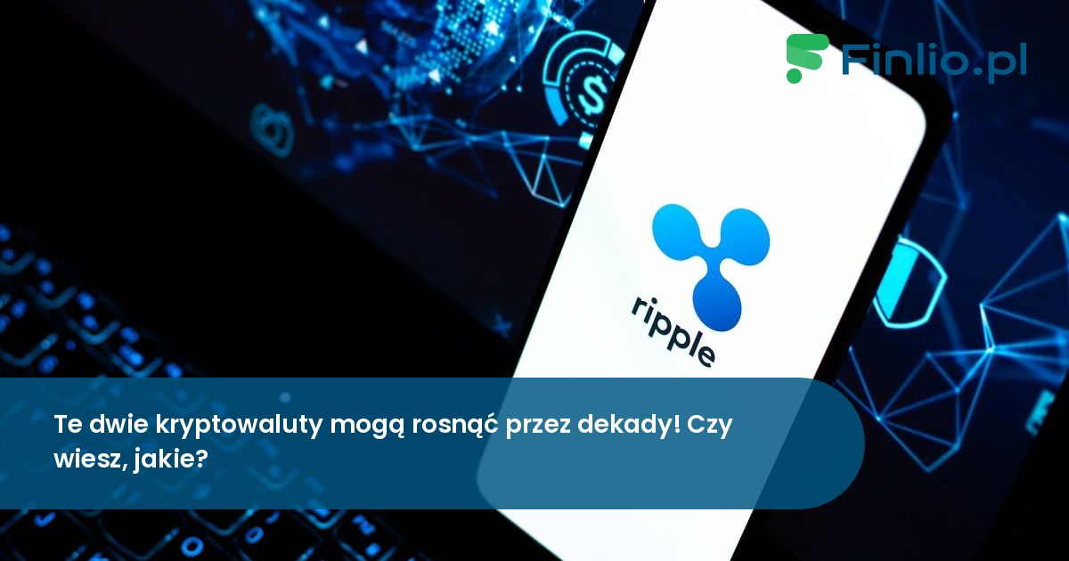 Te dwie kryptowaluty mogą rosnąć przez dekady! Czy wiesz, jakie?