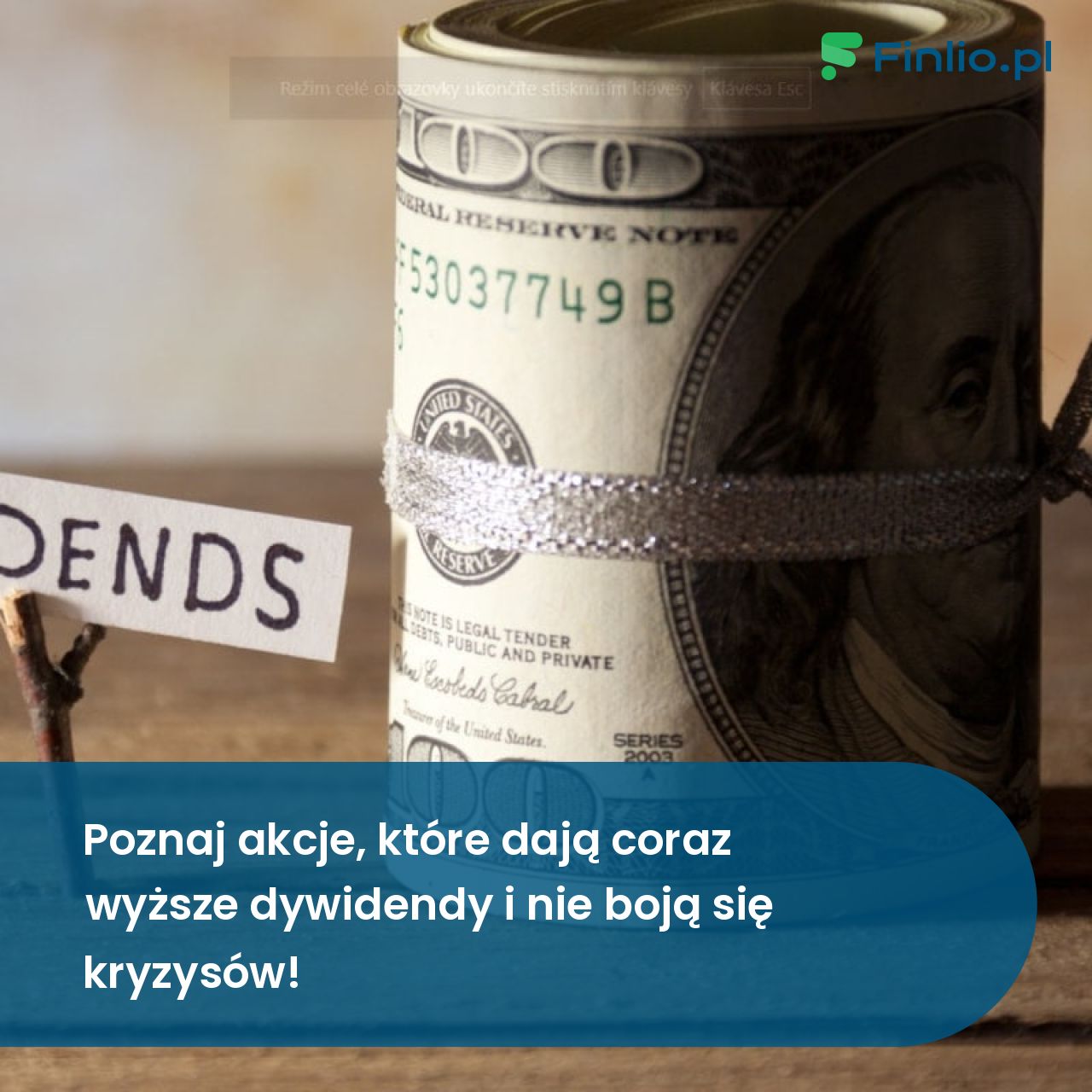 Poznaj akcje, które dają coraz wyższe dywidendy i nie boją się kryzysów!