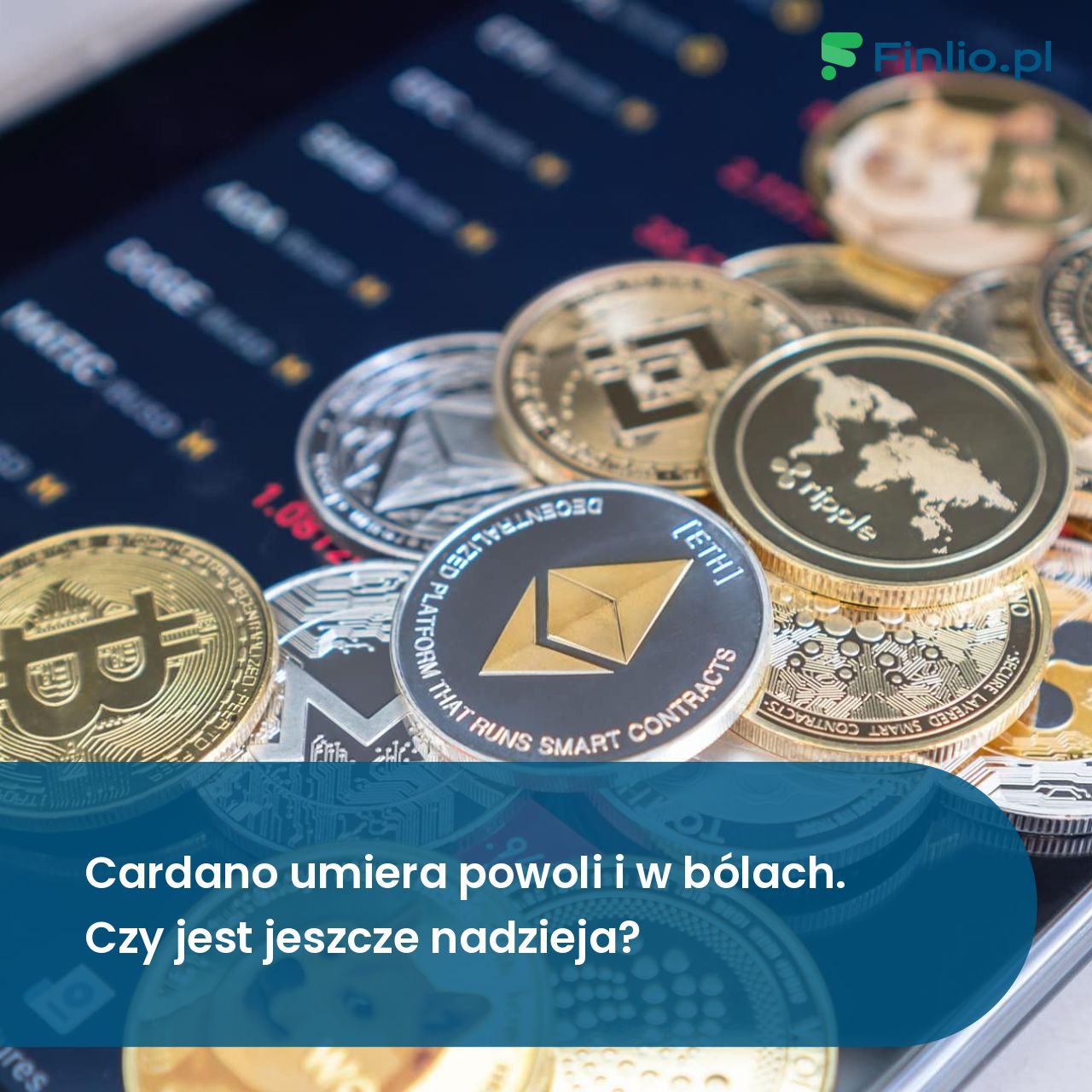 Cardano umiera powoli i w bólach. Czy pozostało nadzieja?