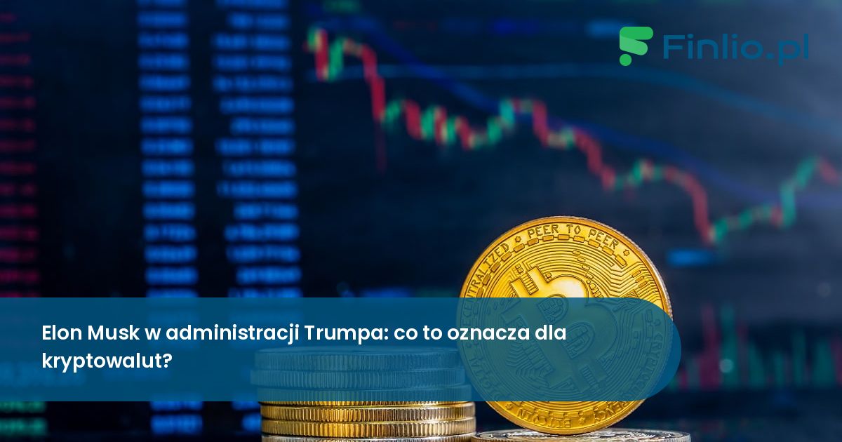 Elon Musk w administracji Trumpa: co to oznacza dla kryptowalut?