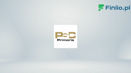Akcje Primoris Services Corporation (PRIM) – Notowania, aktualny kurs, wykres, jak kupić, dywidenda 2024